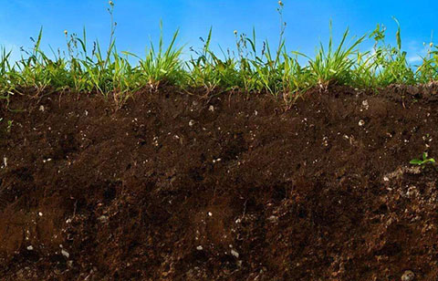 土壤污染检测及修复再添新标准