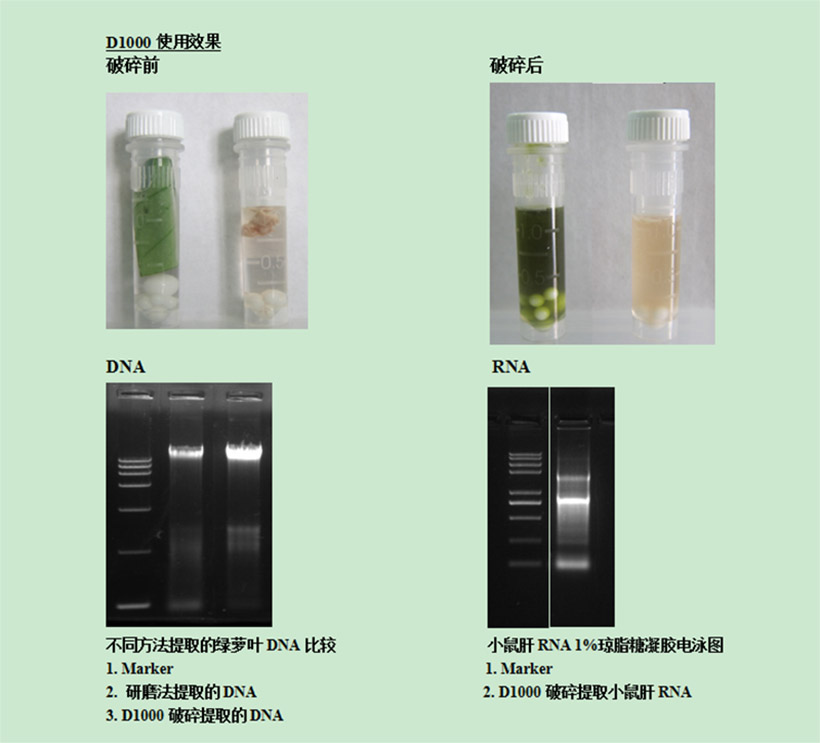 艾塔科仪告诉你高效细胞破碎仪应用